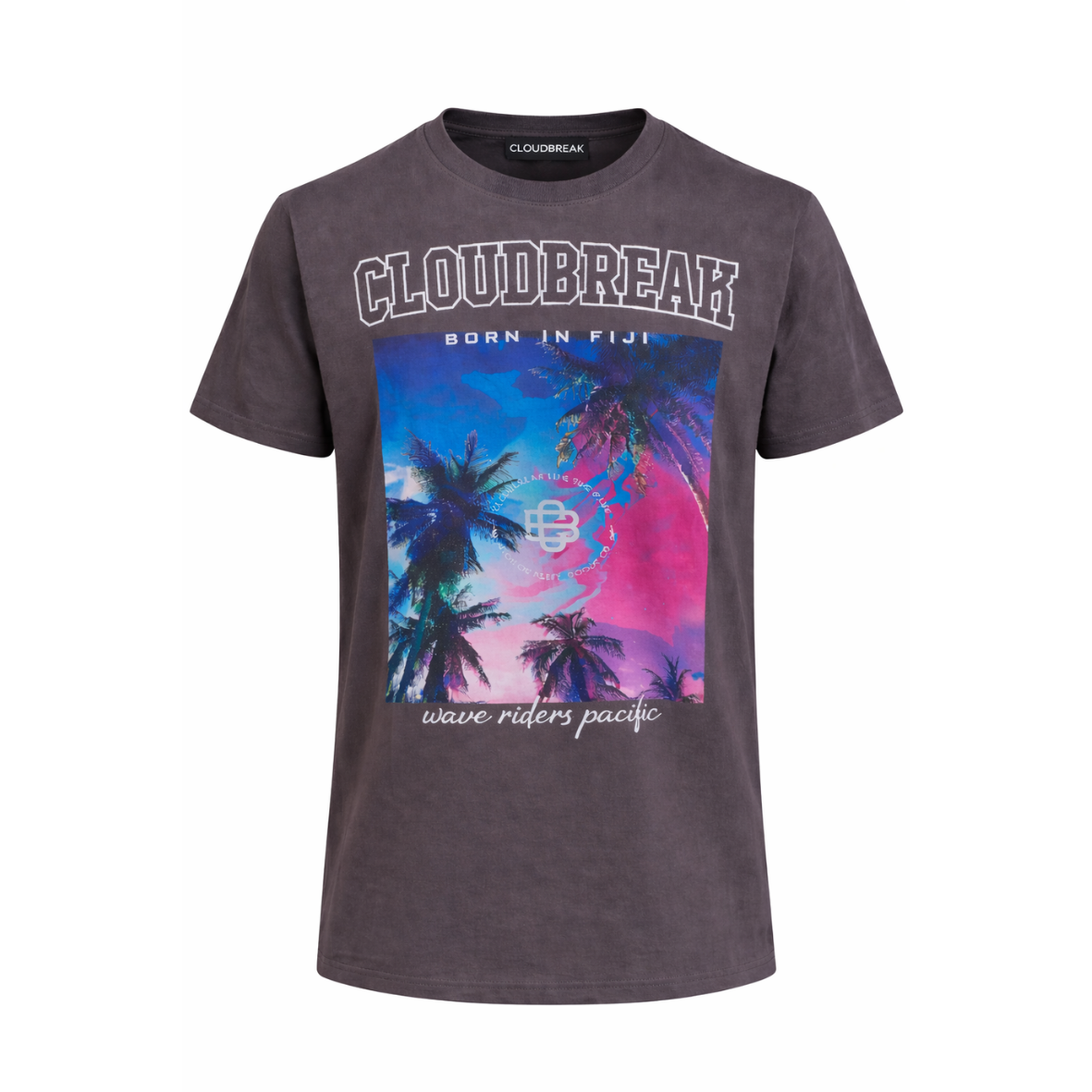 Gray t-shirt with palm tree design and 'Cloudbreak' branding on a white background
